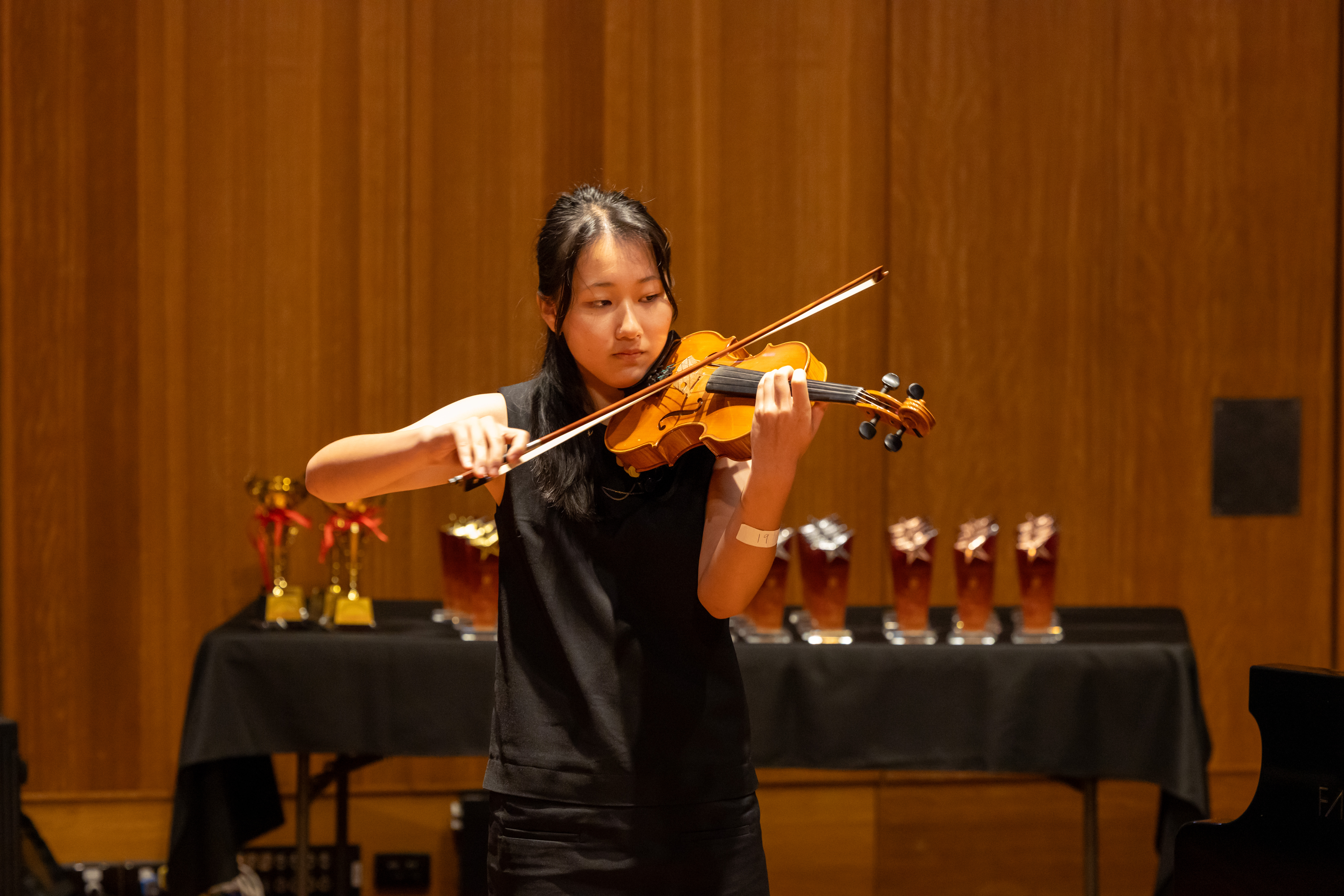 SIMFA 2026 — violin performer